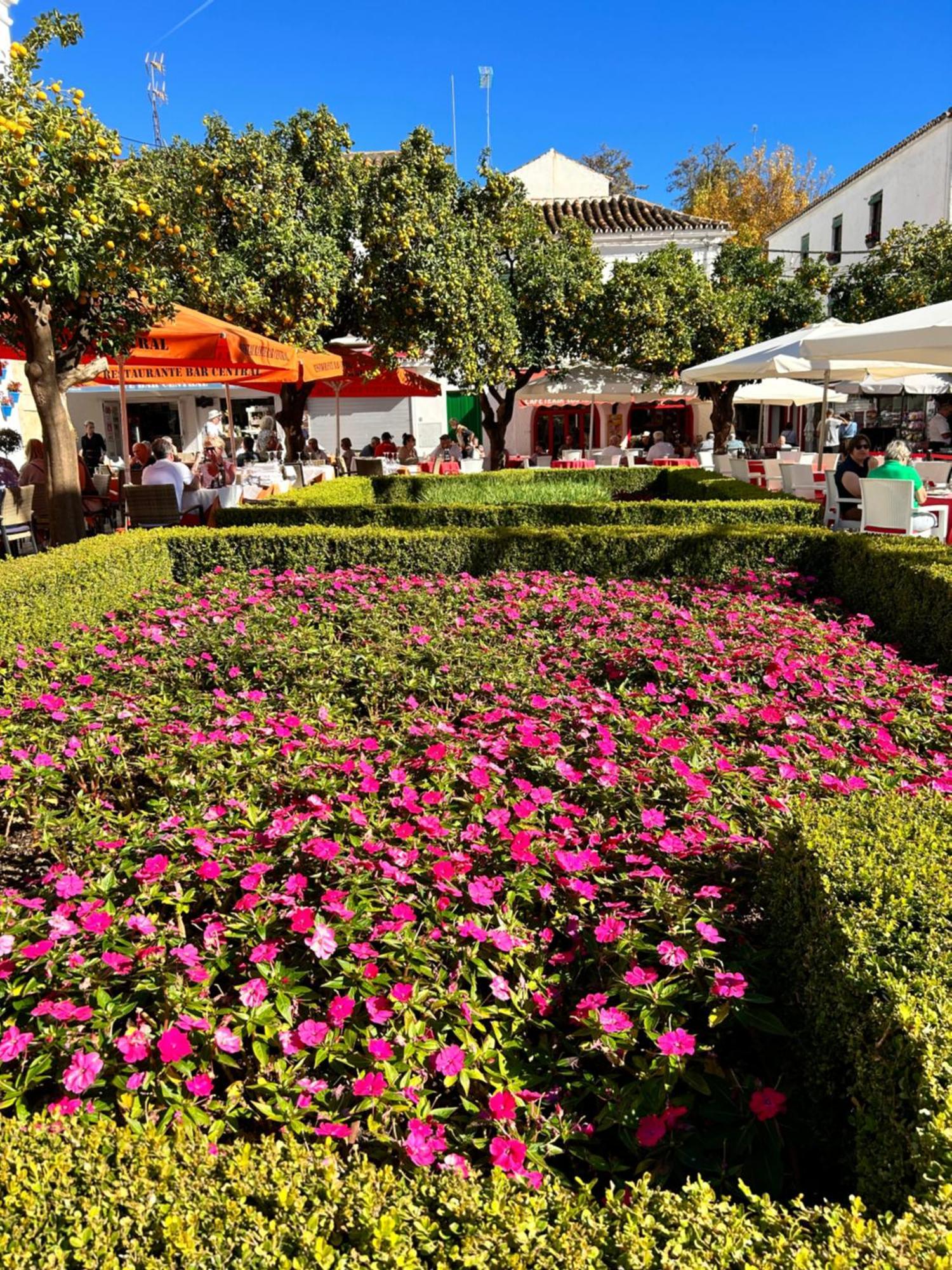 Mare Apartments Marbella Dış mekan fotoğraf